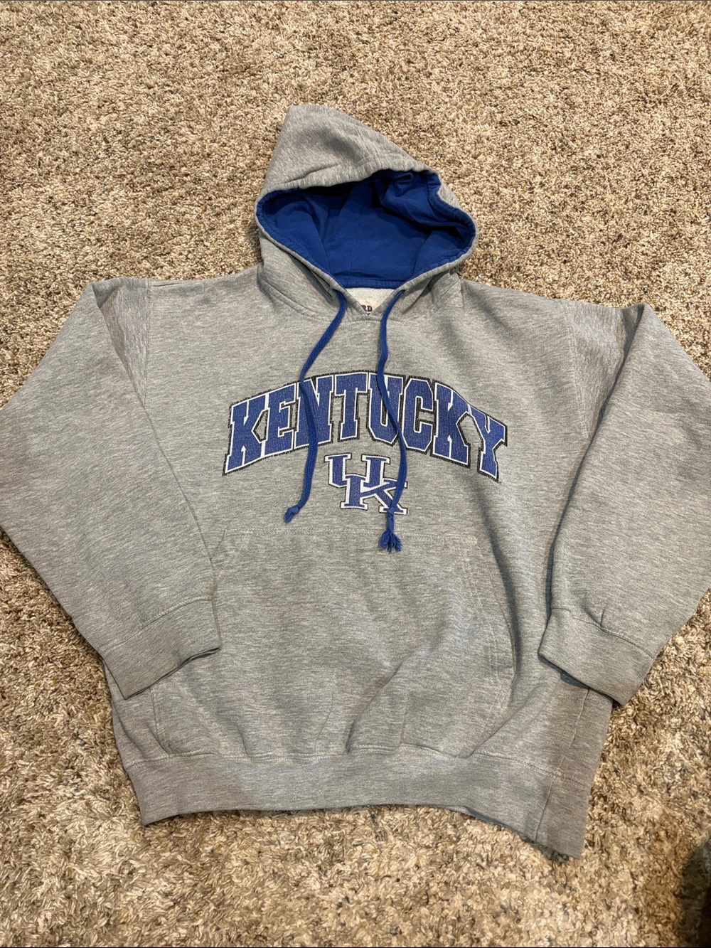 Catbird Gray Crewneck Sweatshirt with Blue Hood Lining